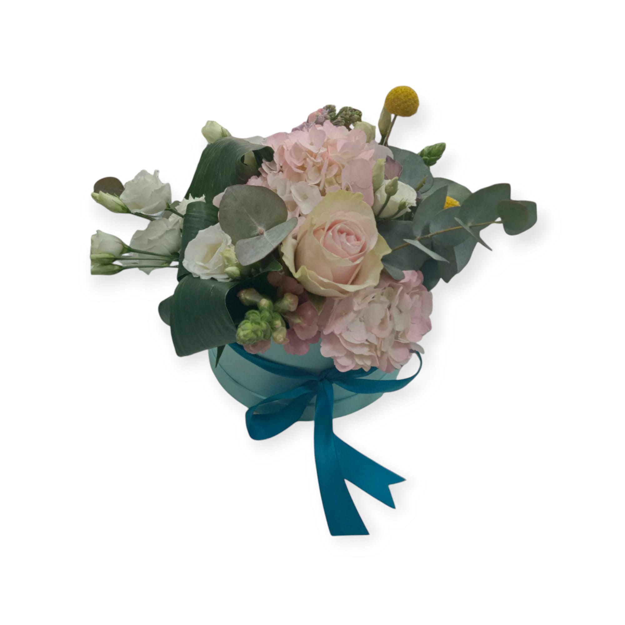 WhatsApp Image 2025-02-20 at 18.57.46_f6268938